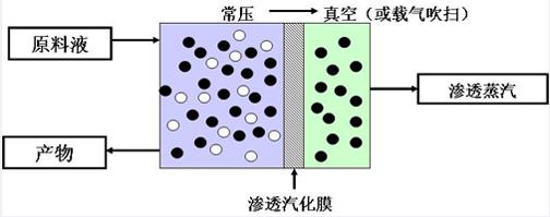 清华大学,浙江大学以及中科院院校,科研机构和公司都参与到了渗透汽化